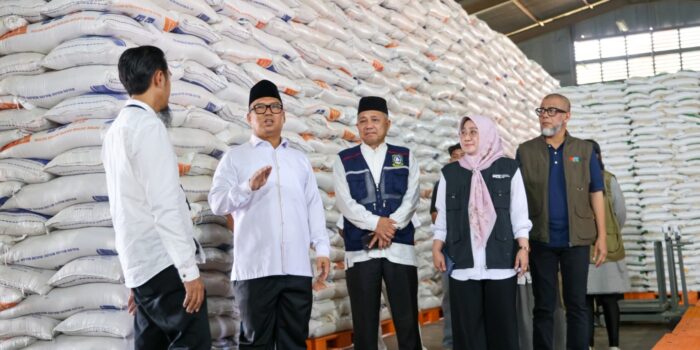 Wakil Gubernur (Wagub) Kepri, Nyanyang Haris Pratamura saat melakukan monitoring dan pengawasan di gudang Bulog Tanjungpinang. Foto: Ist