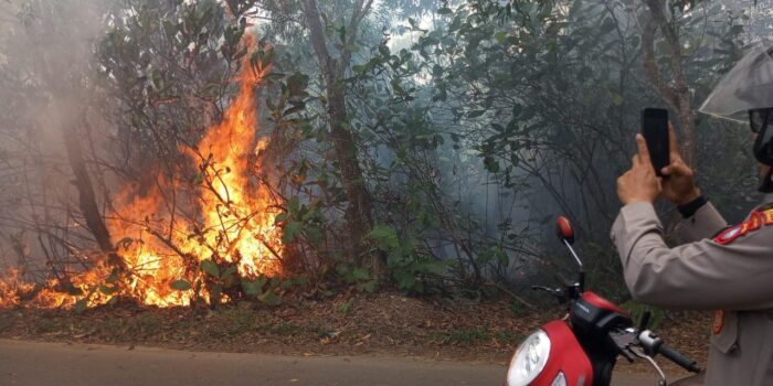 Kebakaran melanda lahan kosong yang dipenuhi semak belukar di Jalan Bestari RT 02/RW 03, Kelurahan Kampung Bugis, Kecamatan Tanjungpinang Kota, Sabtu (08/08/2026).